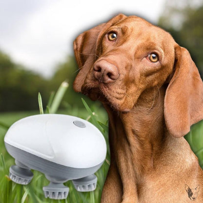 Mini Dog Massager