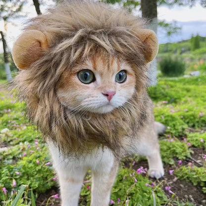 Cat Wig Lion Mane Costume Cosplay Kitten Hat with Ears