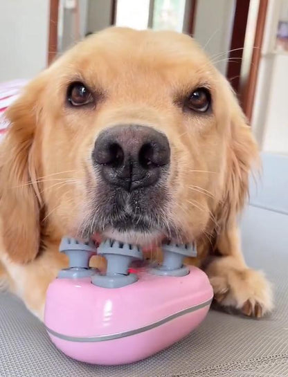 Mini Dog Massager