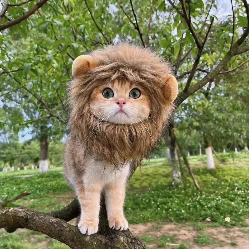 Cat Wig Lion Mane Costume Cosplay Kitten Hat with Ears