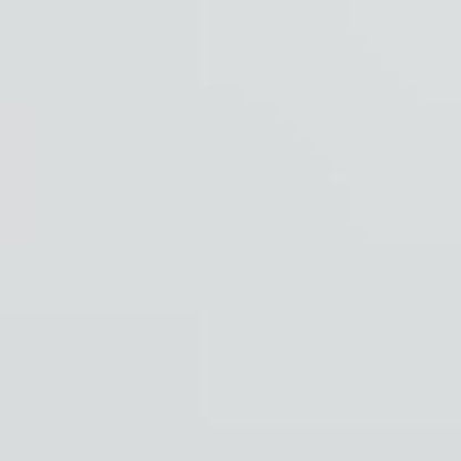 Ninja Frostvault Hard Cooler with Dry Zone FB131 - 30 Quart Capacity Heavy-Duty Construction Premium Ice Retention & Smart Packing for Outdoor Adventures