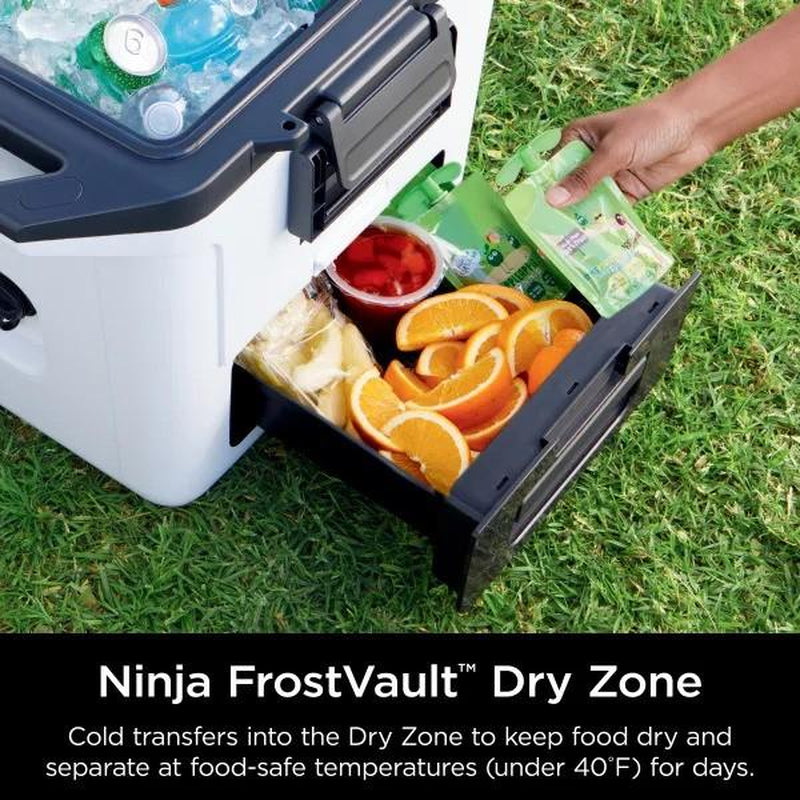 Ninja Frostvault Hard Cooler with Dry Zone FB131 - 30 Quart Capacity Heavy-Duty Construction Premium Ice Retention & Smart Packing for Outdoor Adventures