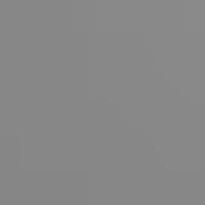 Ninja Frostvault Hard Cooler with Dry Zone FB131 - 30 Quart Capacity Heavy-Duty Construction Premium Ice Retention & Smart Packing for Outdoor Adventures