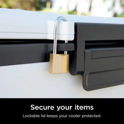 Ninja Frostvault Hard Cooler with Dry Zone FB131 - 30 Quart Capacity Heavy-Duty Construction Premium Ice Retention & Smart Packing for Outdoor Adventures