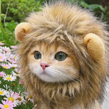 Cat Wig Lion Mane Costume Cosplay Kitten Hat with Ears