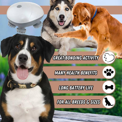 Mini Dog Massager