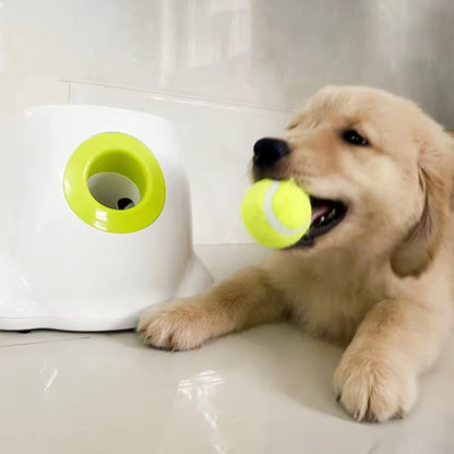 Automatic Dog Ball Launcher - Ultimate Catapult Toy for Active Pets, Perfect for Pitbulls and Tennis Ball Fun!